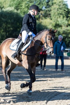 Bild 71 - Pony Akademie Turnier